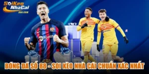 Bóng Đá Số 88 - Soi Kèo Nhà Cái Chuẩn Xác Nhất