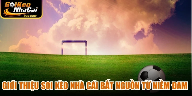 Giới thiệu soi kèo nhà cái bắt nguồn từ niềm đam mê cháy bỏng với những con số