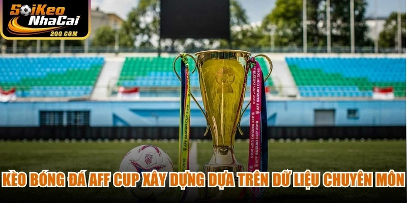 Kèo bóng đá AFF Cup được xây dựng dựa trên dữ liệu chuyên môn