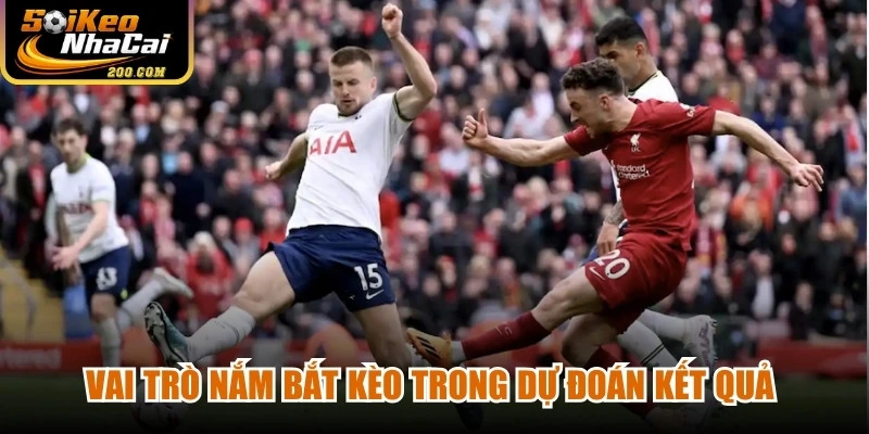 Vai trò nắm bắt kèo trong dự đoán kết quả bóng đá tại Soi kèo bóng đá