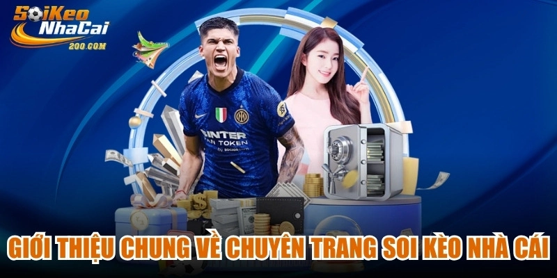 Giới thiệu chung về chuyên trang soi kèo nhà cái
