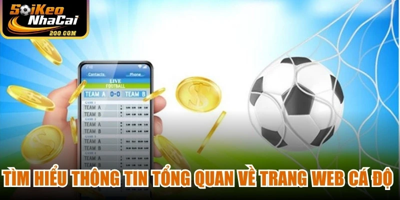 Tìm hiểu thông tin tổng quan về trang web cá độ bóng đá